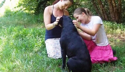 How to Teach Loyalty