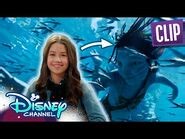 The Cast of Avatar- The Way of Water Discuss the Film - @disneychannel