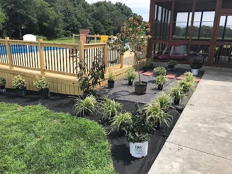 DIY Landscaping around a pool and deck