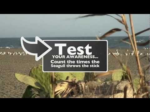 Visual Awareness Test - Are You Ready? - Take a Test