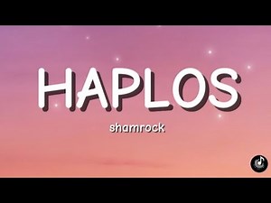 HAPLOS - SHAMROCK| LYRICS VIDEO | COVER