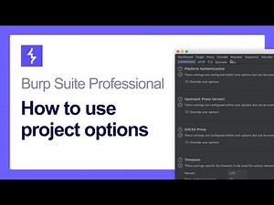 How to use Burp Suite project options
