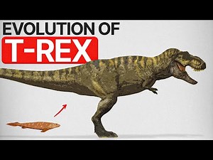 The Evolution Of The T Rex Explained In 4 Minutes...