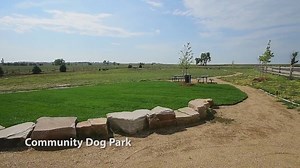 Take a virtual tour of the new Larimer Humane Society facility. And when you're done, take a look at some of the pets that are available for adoption. noconow.co/2xRZzNr | The Coloradoan