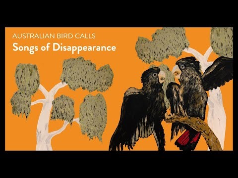 An album made entirely of endangered bird sounds beat Taylor Swift on a top 50 chart