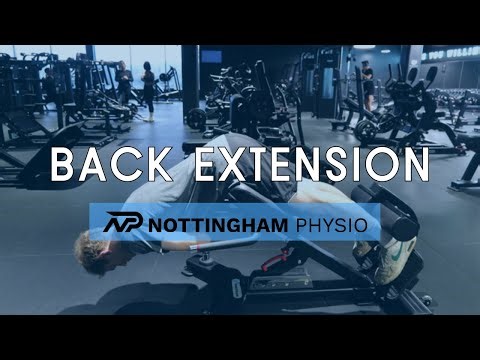 Back Extension on Bench — Loaded Posterior Chain Extension & Spinal Control