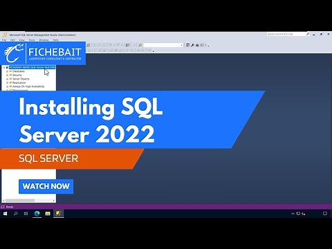 How to Install SQL Server 2022 Developer Edition & SQL Server Management Studio (SSMS)