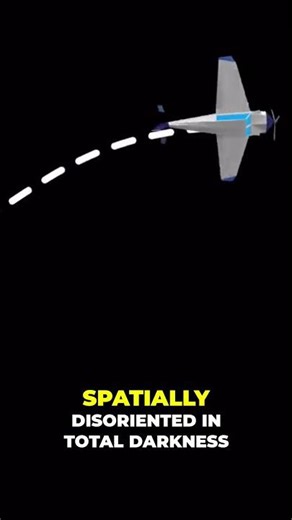 Pilot Error Caused Plane Crash in Total Darkness Investigation Reveals Shocking Details