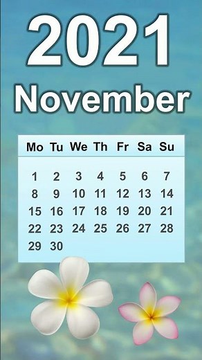 November 2021 Calendar