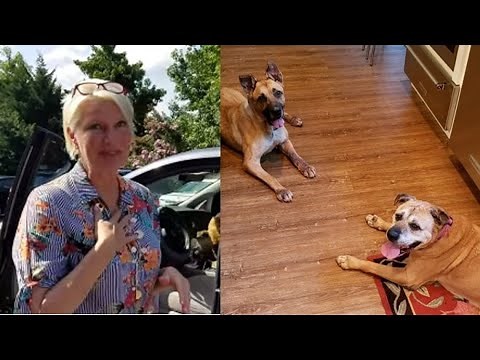Woman Adopts 2 Dogs with Special Needs from Asheville Humane Society
