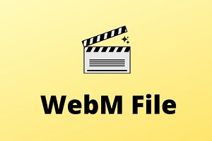 What Is a WebM File and How to Open It - MiniTool Video Converter