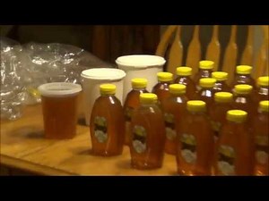 Harvesting 127 lbs of raw honey from two colonies