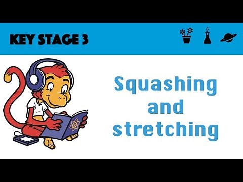 Squashing and Stretching (Hooke's Law)