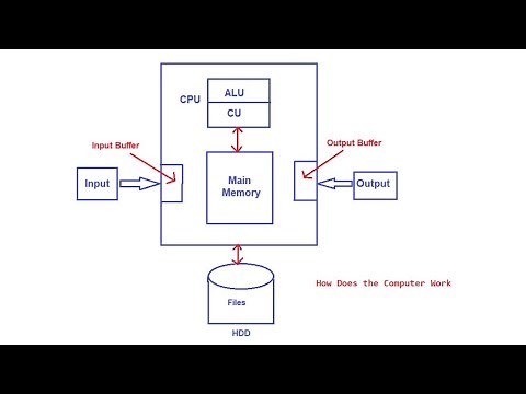 How Does the Computer Work