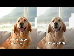 | Furbo Dog Camera