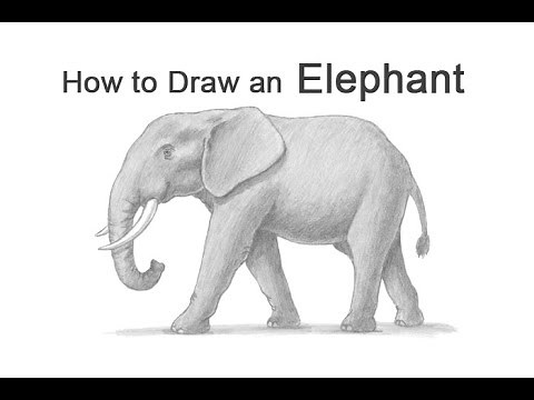How to Draw an Elephant