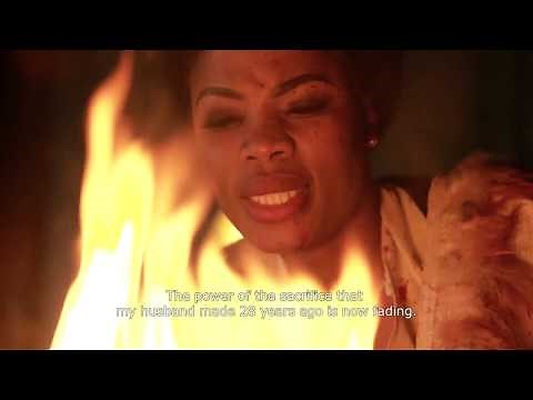 The Herd Season 1 Episode 1 Full Episode | Showmax