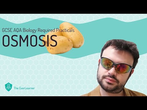 AQA GCSE Biology (9-1): Required Practical - Osmosis