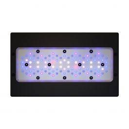 Radion XR30 G6 Blue LED Light Fixture