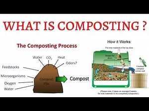 What is Composting & How it is Done ? 3 Stages of Composting Explained