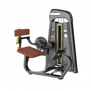 [Hot Item] Muscle Training Gym Equipment Back Extension Machine