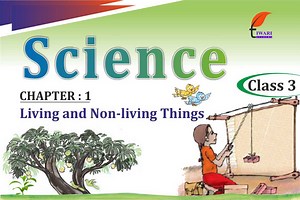 Class 3 Science Chapter 1 Living and Non-living Things