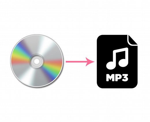 DVD DecrypterでDVD音声のみ抽出してMP3に変換する方法を徹底解説！【フリーソフト・日本語対応】