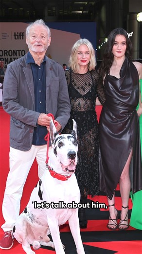 Bill Murray just gave us one more reason to love dogs. Not that we needed convincing. | Yahoo Entertainment