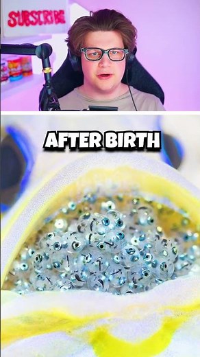 How Different Animals Give Birth! 👀🐋