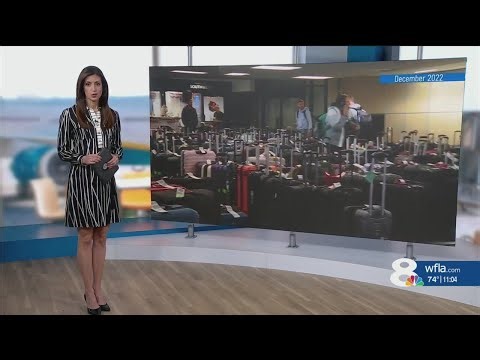 News Channel 8 at 11:00