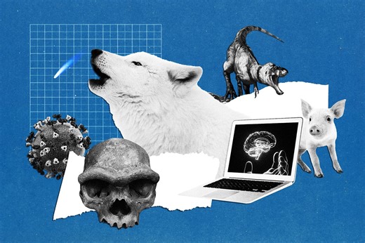 The Ten Most Significant Science Stories of 2025, From Medical Breakthroughs to an Interstellar Visitor