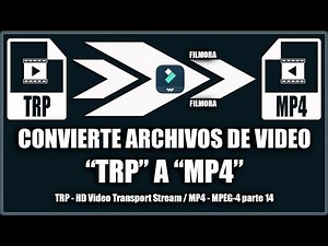 Convert trp video files to mp4 - Filmora 14