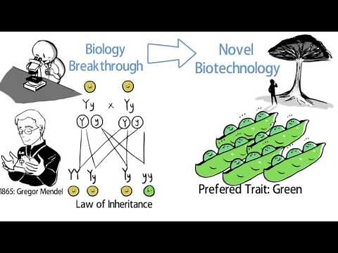 What is Biotechnology