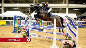 British Equestrian Sport TV