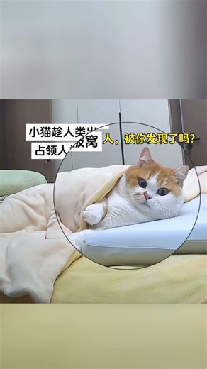 The embarrassment of Mimi being caught by her owner is visible to the naked eye #Draw#Draw