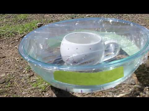 3rd Grade Science - Water Cycle and Cloud Experiment