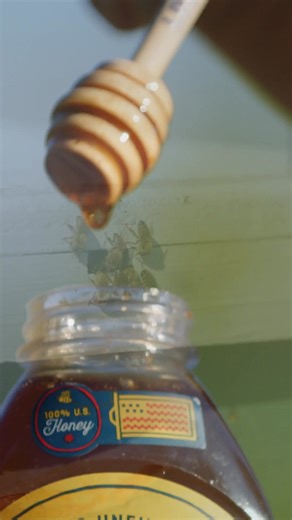 Raw. Real. Straight from your local beekeeper. Every Local Hive Honey has a unique taste depending on where it gets its sweet start. We bottle it raw & unfiltered so you can still taste the floral notes in every drop. | Local Hive Honey