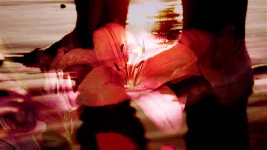 Exploring the Lyrics of Mac DeMarco's 'Another One'