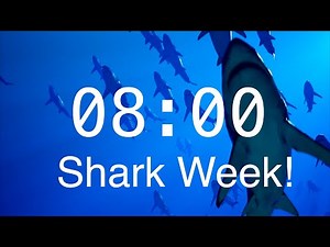 8 Minute Countdown Timer with Alarm | Relaxing Music | Shark Timer