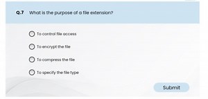 What is the purpose of a file extension?... | Filo