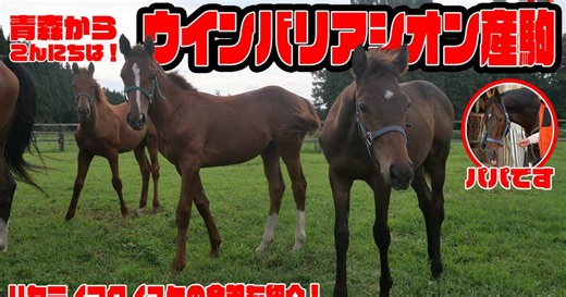 2025年生まれのウインバリアシオン産駒です！　青森からこんにちは