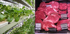 11 innovations that could build the food of the future