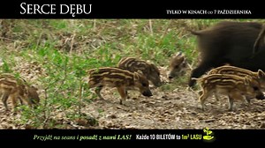 Mapa Świata • Mapa satelitarna • Wyznaczanie trasy, odległości