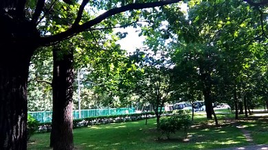 Sample MP4 video files