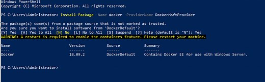 Run Docker on Windows Server 2019 / 2022 [Guide]