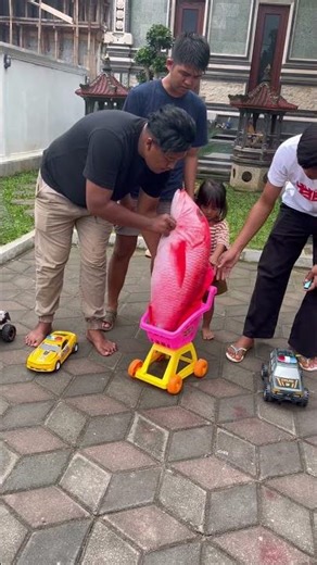 DEFE OMING BAWA IKAN APA ITU