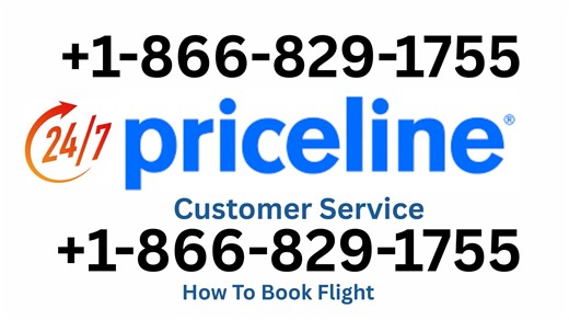 Official {{ Priceline™}}. Customer Service | Official Full Assistance Support Guide