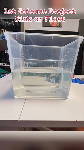 Fun Science Experiments for 3rd Graders