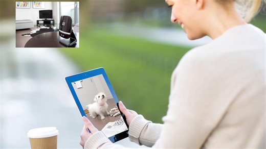 Keep an eye on your dog while you’re out with one of the best pet cameras