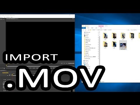 How to Import .MOV files into Adobe Premiere / Bulk Extension Changer